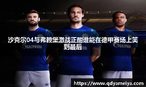 沙克尔04与弗赖堡激战正酣谁能在德甲赛场上笑到最后