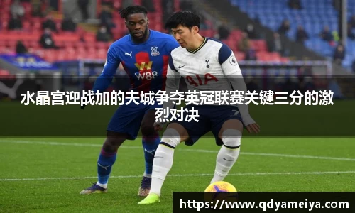 水晶宫迎战加的夫城争夺英冠联赛关键三分的激烈对决