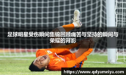 雷火电竞官方网站入口