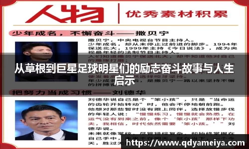 雷火电竞官方网站入口