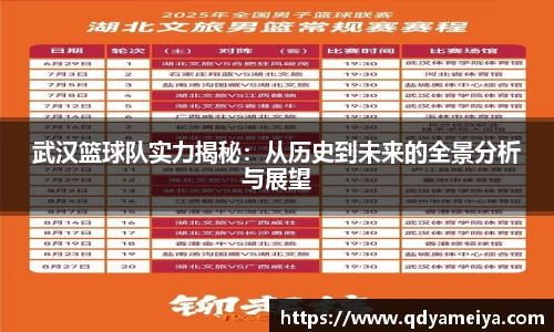 武汉篮球队实力揭秘：从历史到未来的全景分析与展望